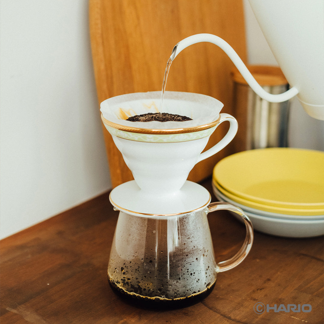 HARIO × Noritake|聯名漢普夏金邊濾杯手沖注水示範