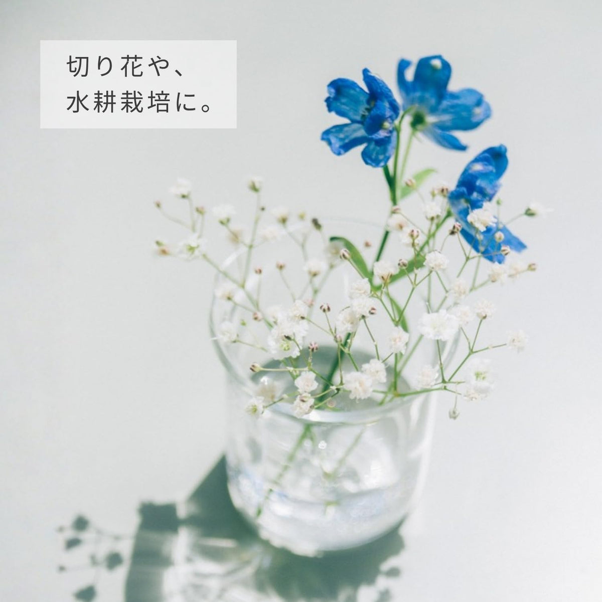 HARIO 燒杯用作花器的用途示意