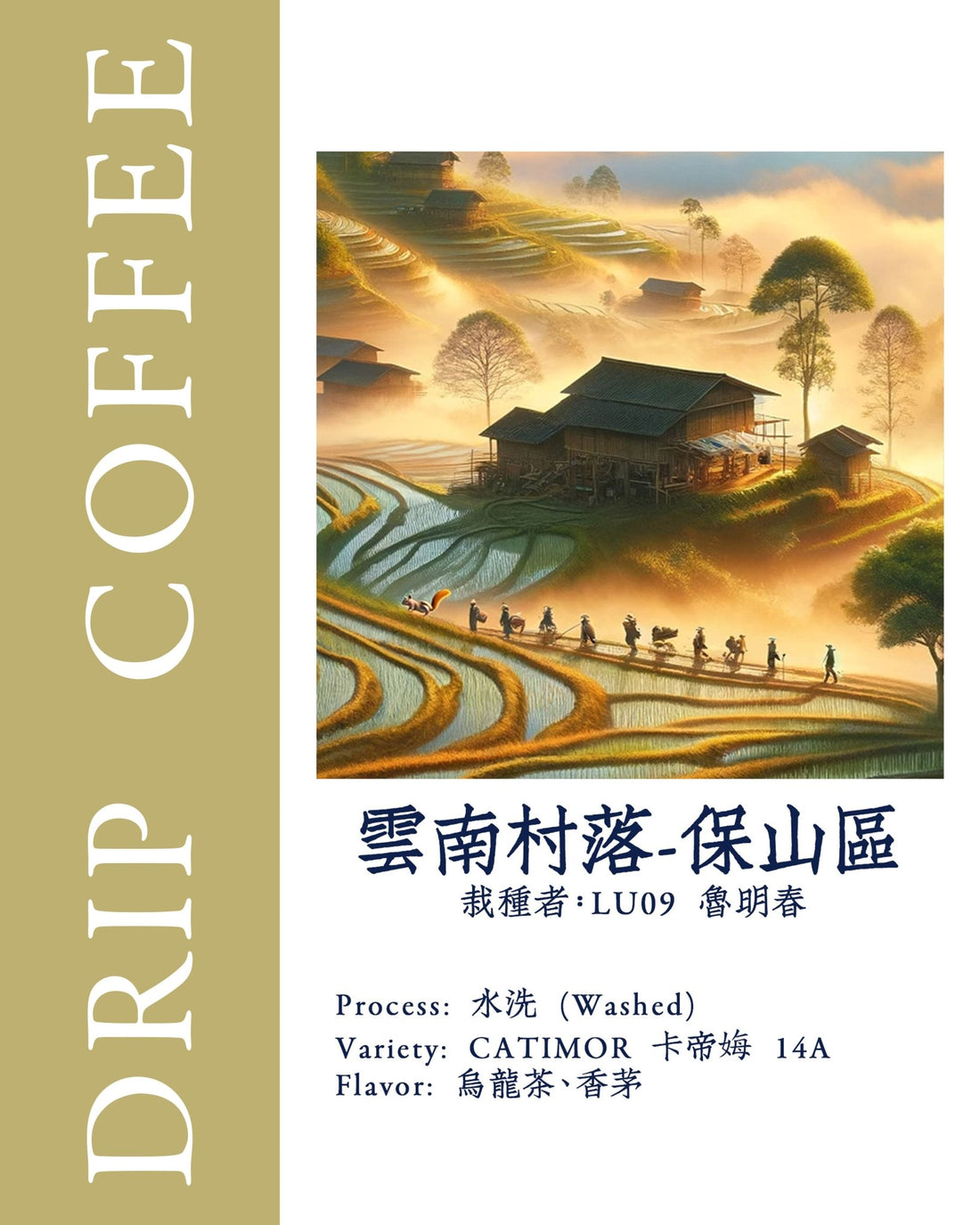 [Yunnan Village - Baoshan District] Yunnan | Tea | CATIMOR 14A | Washed | Light Sip Coffee