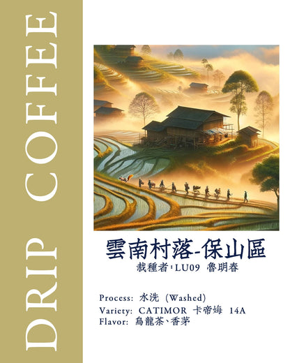 【雲南村落-保山區】雲南｜茶｜CATIMOR カティモール 14A ｜水洗｜浅煎りSip Coffee 