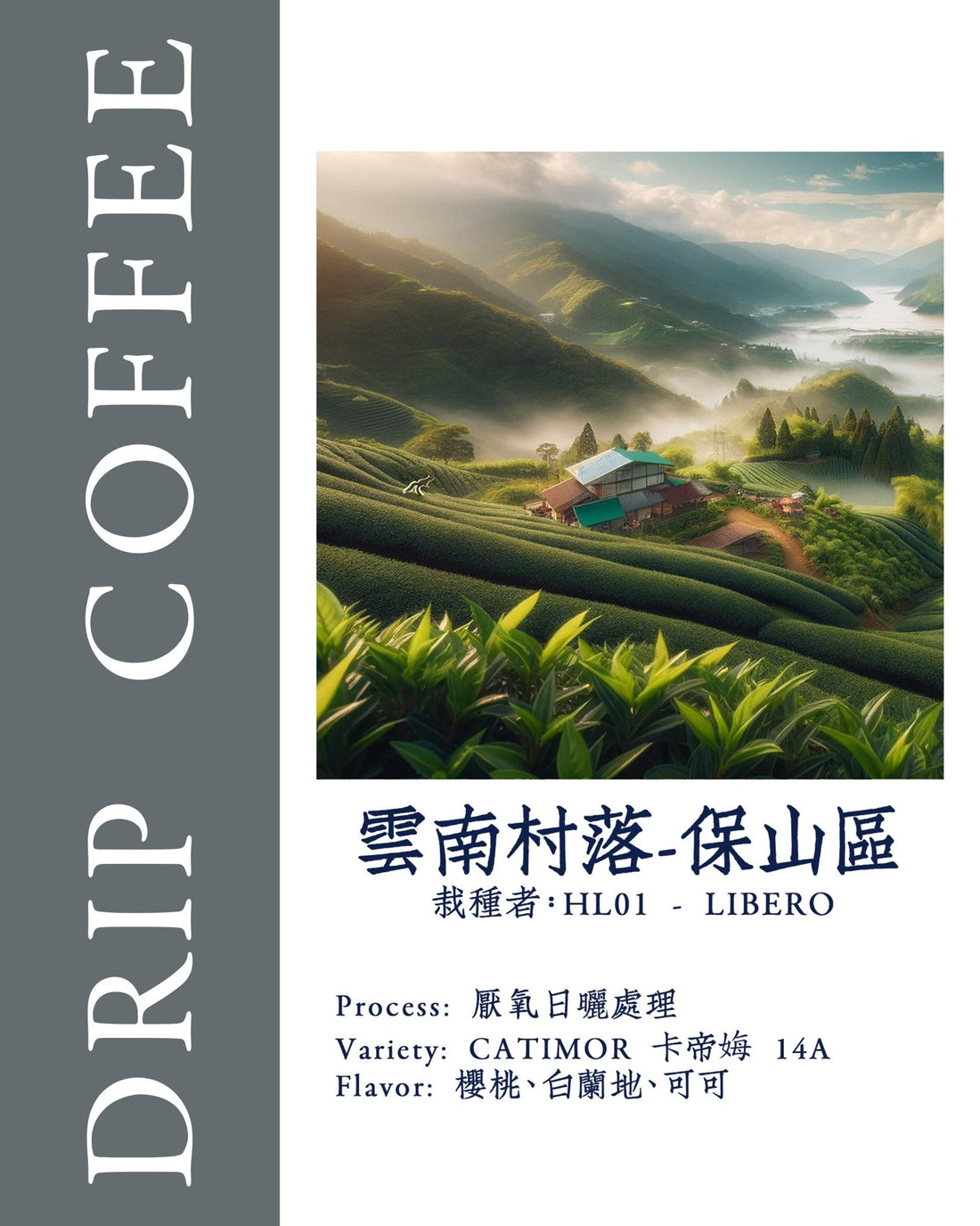 [Yunnan Village - Baoshan District] Yunnan | Coffee | CATIMOR 14A | Anaerobic Fermentation | Light Sip Coffee