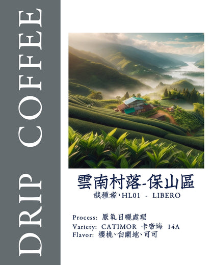 Misty sunrise over Yunnan coffee plantation, lush green terraces, mountain village, and winding river in valley, showcasing CATIMOR 14A coffee variety from Baoshan district