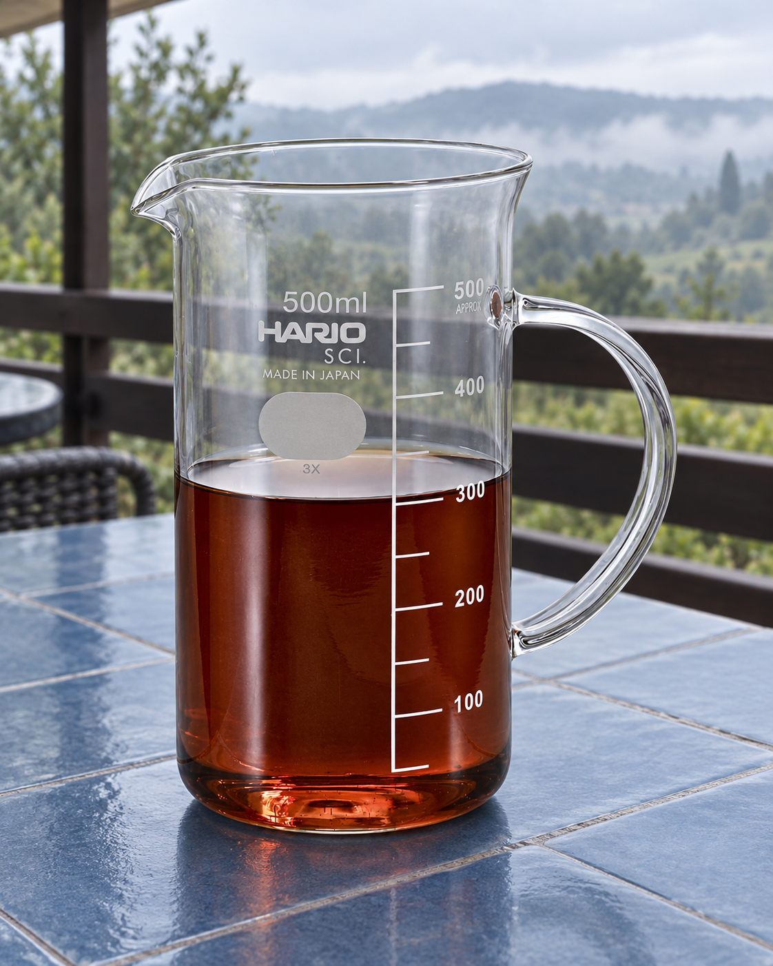 HARIO 手柄烧杯分享壶｜500 mL 场景封面