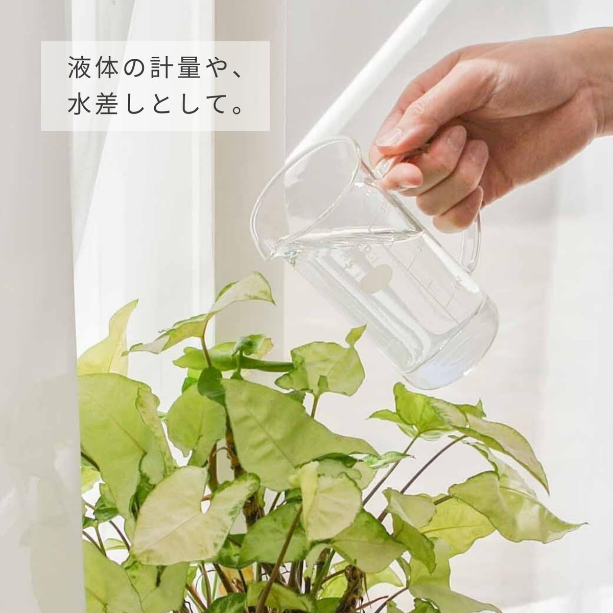 TBV-300 澆灌植物的日常用途示範
