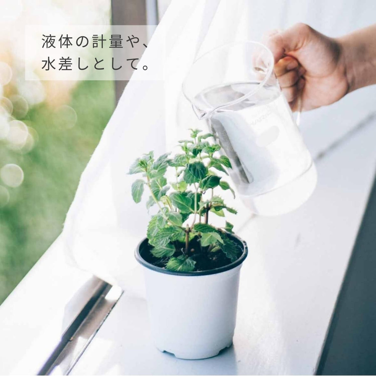 HARIO 手柄燒杯系列澆灌植物的用途示範