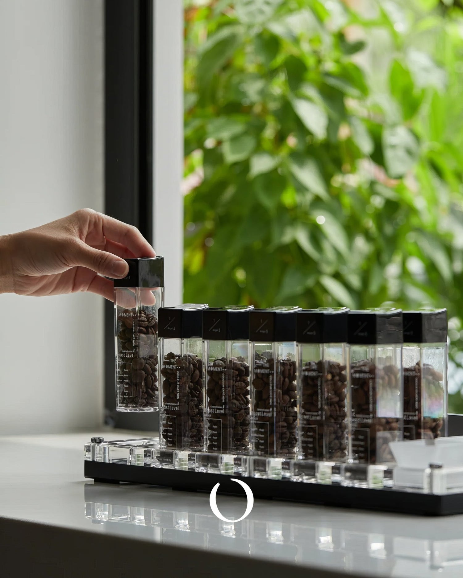 MUVNA coffee bean storage tubes set on display rack, hand placing tube, transparent containers filled with coffee beans, green plants visible through window