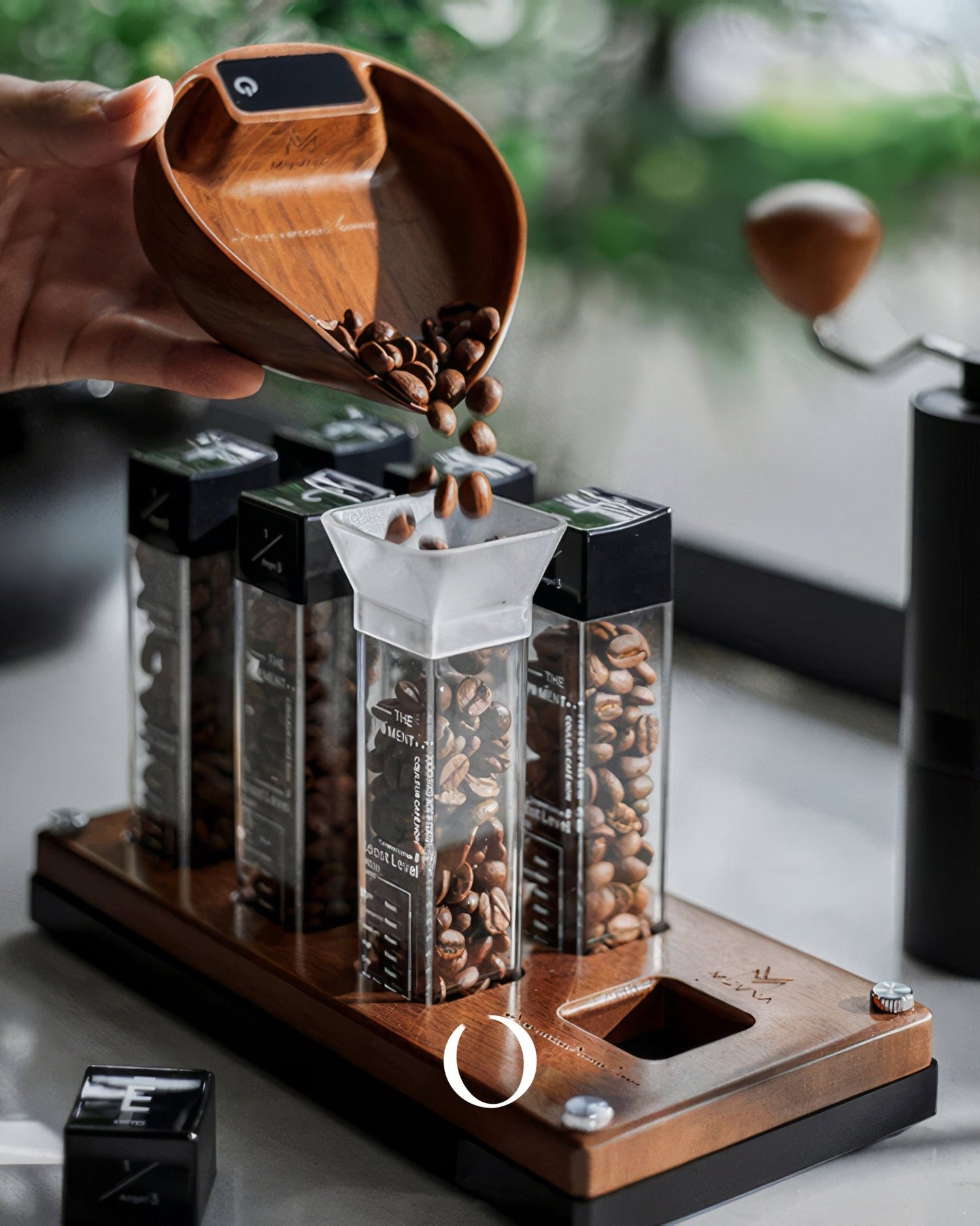 MUVNA walnut wood electronic coffee scale with precision display, pouring coffee beans into transparent containers on a wooden base, showcasing accurate measurement for coffee enthusiasts