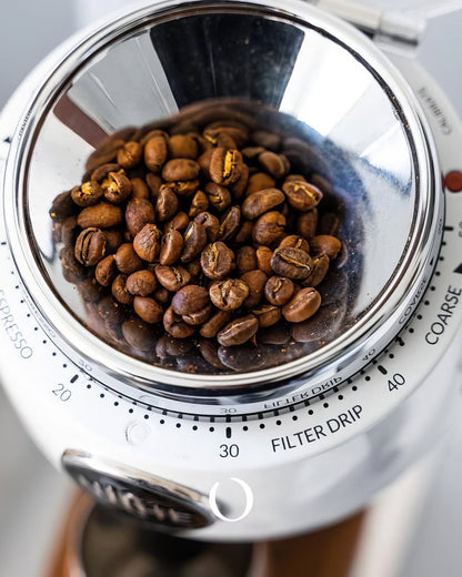 Freshly roasted coffee beans in Niche Zero grinder, showcasing precise grind settings for optimal brewing