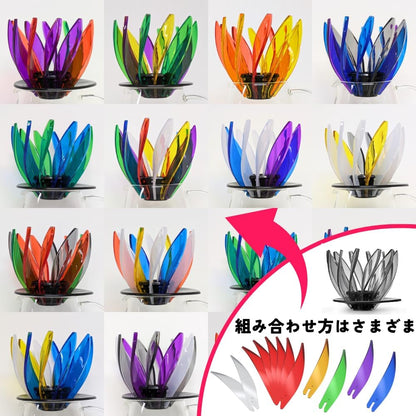 HARIO V60 SUIREN rib color combinations