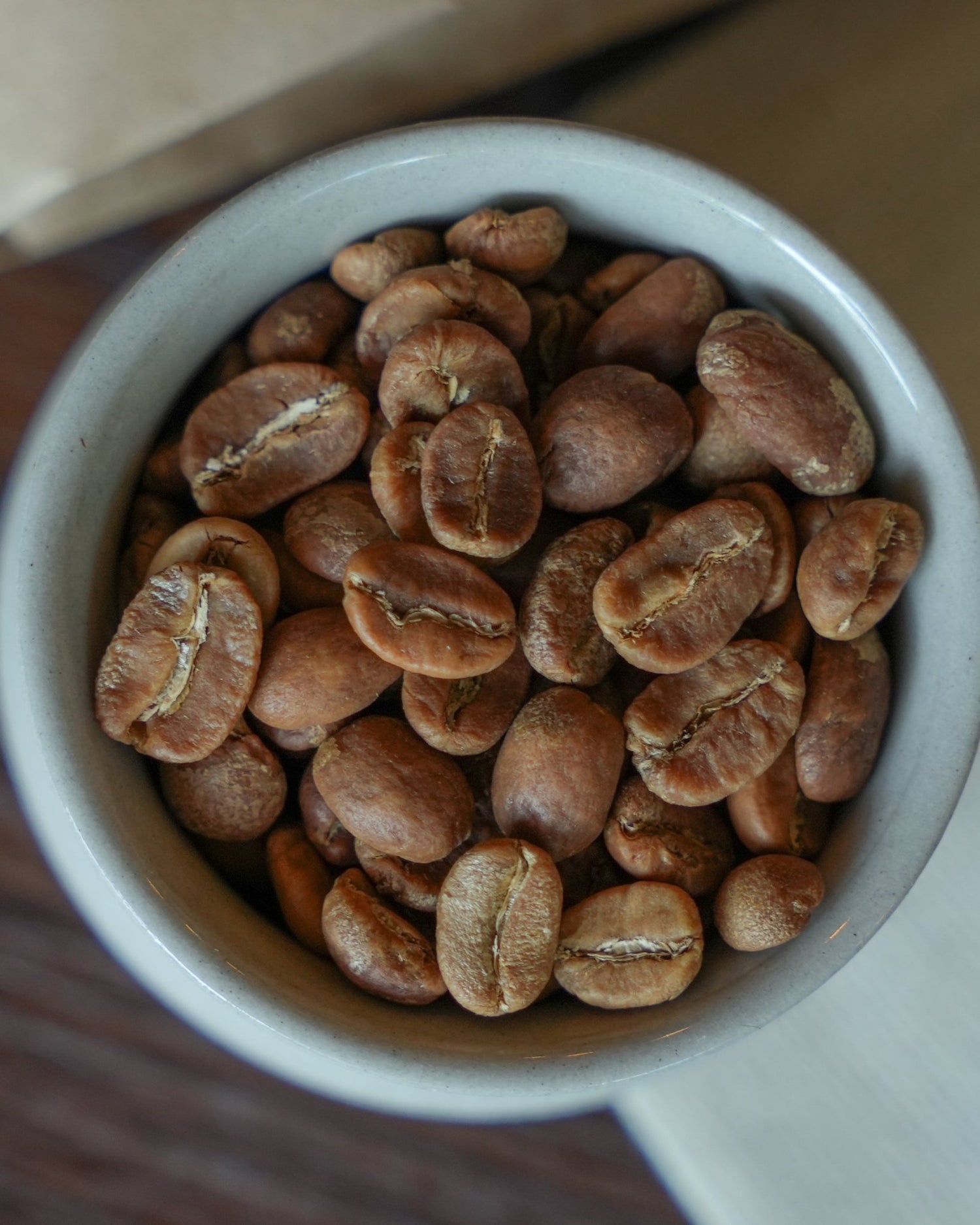 Fresh roasted Ethiopian Sidamo coffee beans in a white ceramic cup, showcasing their light brown color and distinct center seam, representing premium ultra-light roast quality from Sip Coffee.