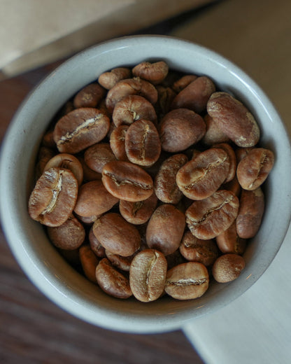 Fresh roasted Ethiopian Sidamo coffee beans in a white ceramic cup, showcasing their light brown color and distinct center seam, representing premium ultra-light roast quality from Sip Coffee.