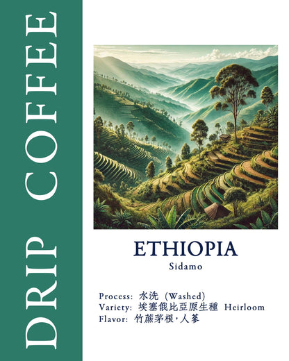 Colorful illustration of Ethiopian Sidamo coffee plantation with terraced hills, lush trees, and misty mountains, showcasing the origin of Sip Coffee&